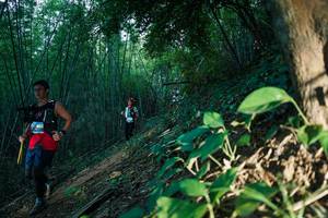 BIB: 
                            <button type="button" onclick="openModal(28124566)" class="btn btn-primary btn-sm float-right btn-popup" data-toggle="modal" data-target=".modal-high-quality">
                        <i class="fas fa-shopping-cart"></i> Add to Cart
                    </button>
                                            <button type="button" onclick="isThisMe(28124566, true)" class="btn btn-success btn-sm float-right btn-popup btn-isme hidden" data-toggle="tooltip" data-placement="bottom" title="นี่คือรูปของคุณใช่ไหม คลิกที่นี่เพื่อเอาเข้าอัลบั้ม">
                        <i class="fas fa-plus"></i> Add to album
                    </button>
                    <button type="button" onclick="isThisMe(28124566, false)" class="btn btn-warning btn-sm float-right btn-popup btn-isnotme hidden">
                        <i class="fas fa-ban"></i> Remove from album
                    </button>